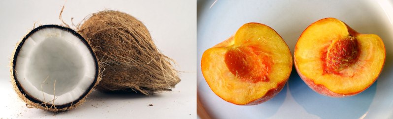 Coconuts-vs-Peaches-Germans-and-Americans