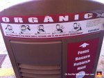 23-organic-recycling-mull-rubbish-basara-fems-container-mallorca