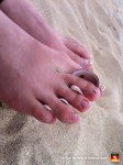 66-cute-toes-with-shells-on-the-beach-feet