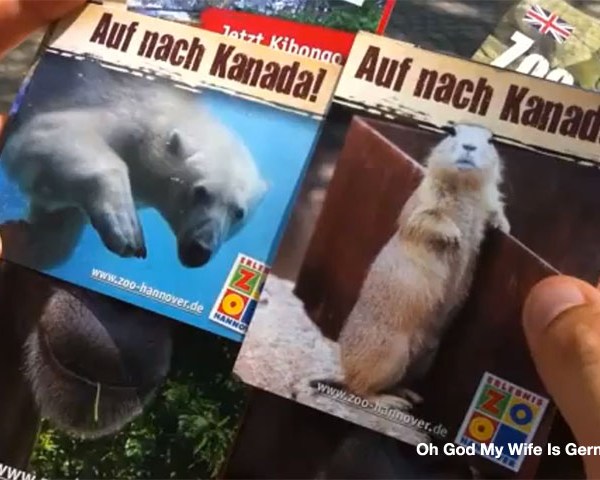 01-hannover-erlebnis-zoo-2014-germany