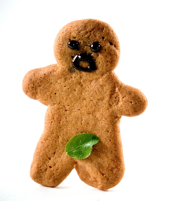 02-gingerbread-man-funnyleaf-over-privates-naked-man