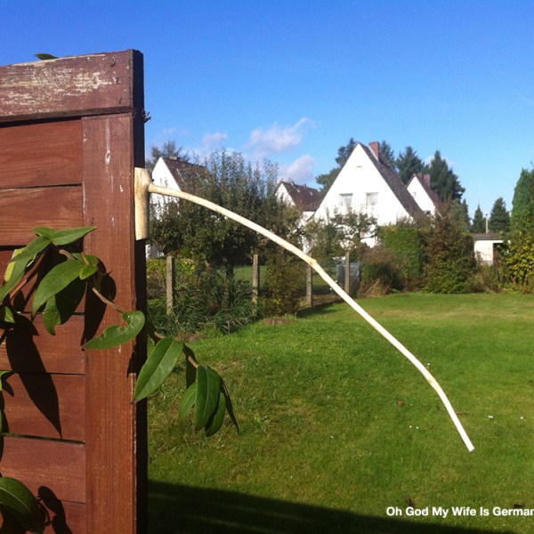 The-Davis-Hill-Weather-Stick-Cover-Photo-1