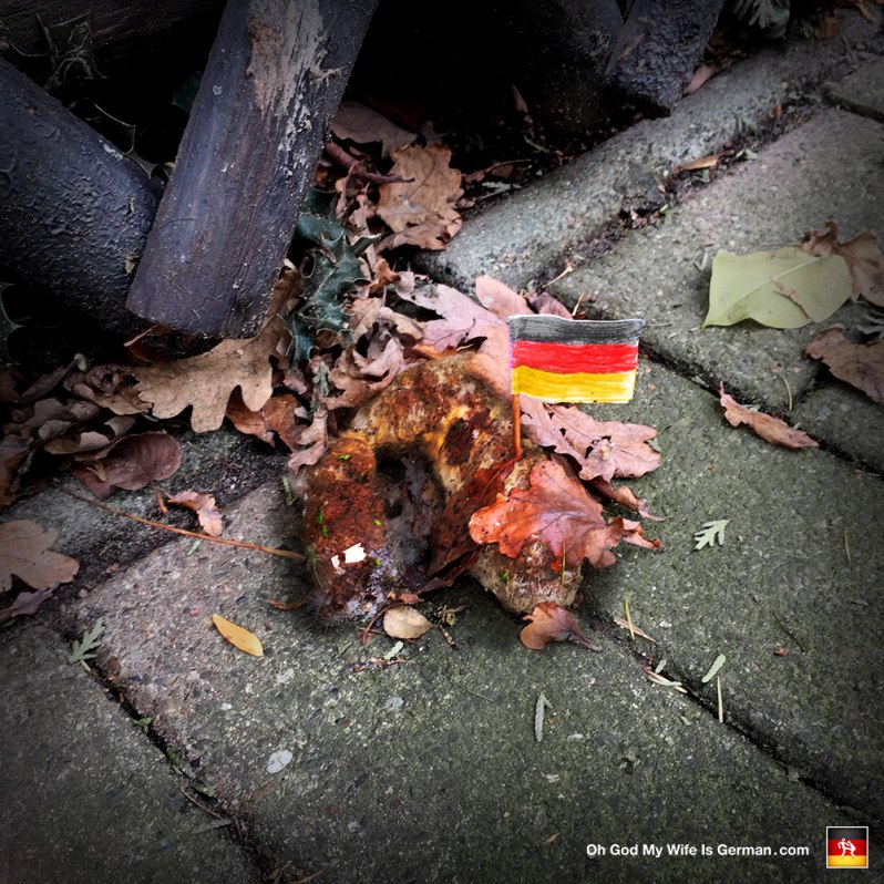 German flag in dog poop