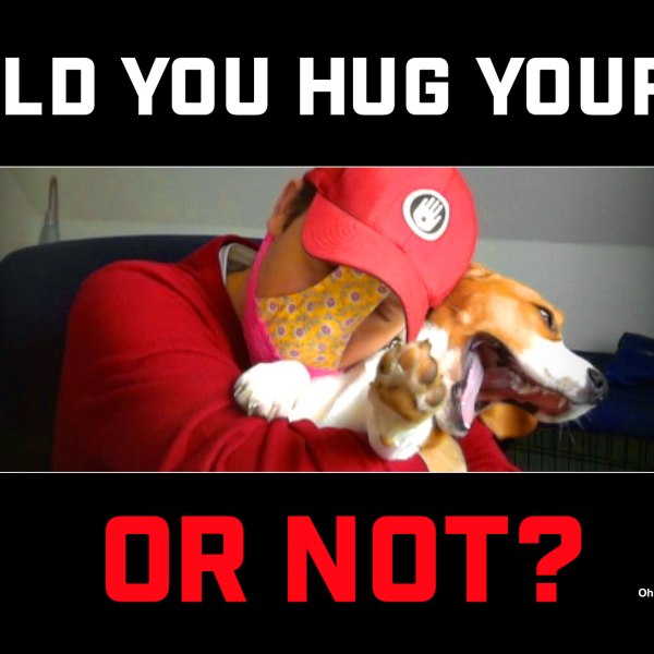 Should you hug your dog or not? Is hugging bad for dogs?