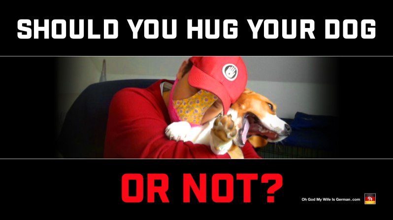 Should you hug your dog or not? Is hugging bad for dogs?