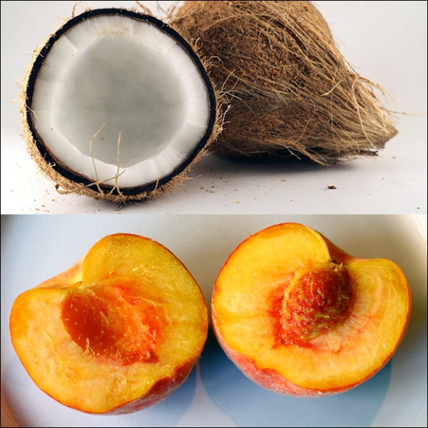 Coconuts-vs-Peaches-Germans-and-Americans Cultural Differences